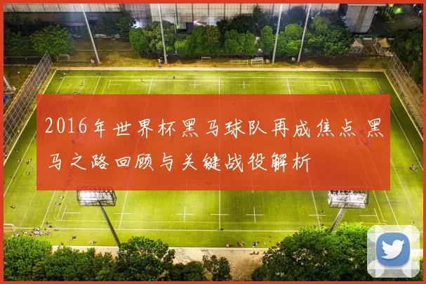 2016年世界杯黑马球队再成焦点 黑马之路回顾与关键战役解析
