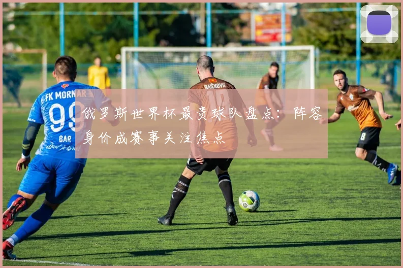俄罗斯世界杯最贵球队盘点：阵容身价成赛事关注焦点