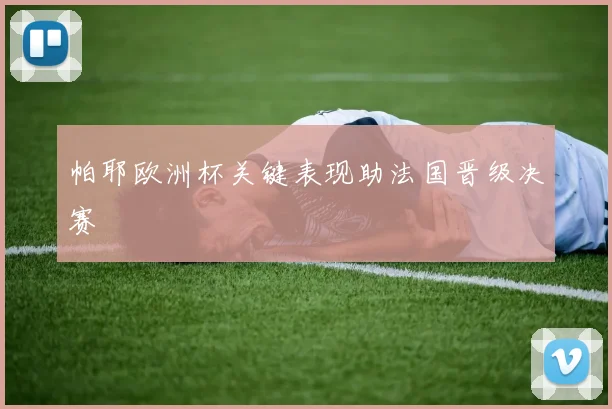 帕耶欧洲杯关键表现助法国晋级决赛