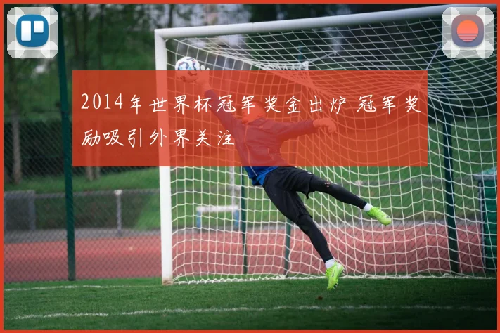 2014年世界杯冠军奖金出炉 冠军奖励吸引外界关注