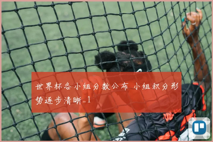 世界杯各小组分数公布 小组积分形势逐步清晰_1
