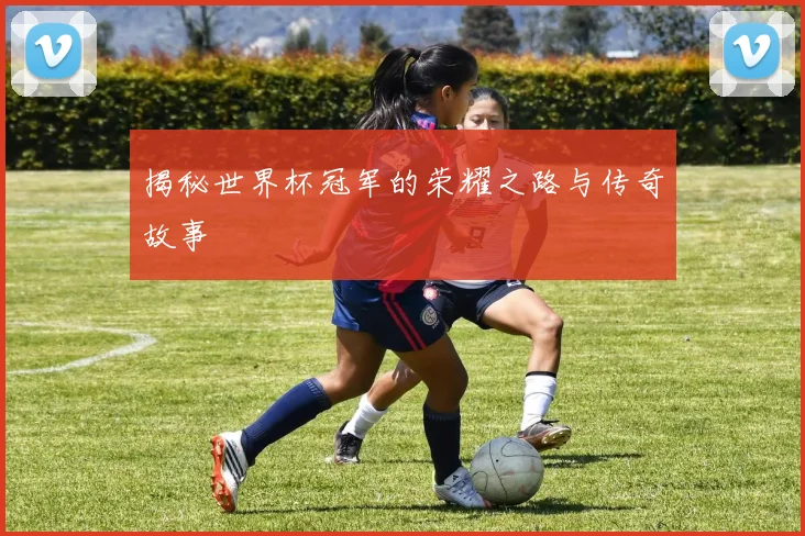 揭秘世界杯冠军的荣耀之路与传奇故事